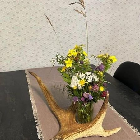 Familienfreundliche Farm Stuga Hamra  Екстериор снимка
